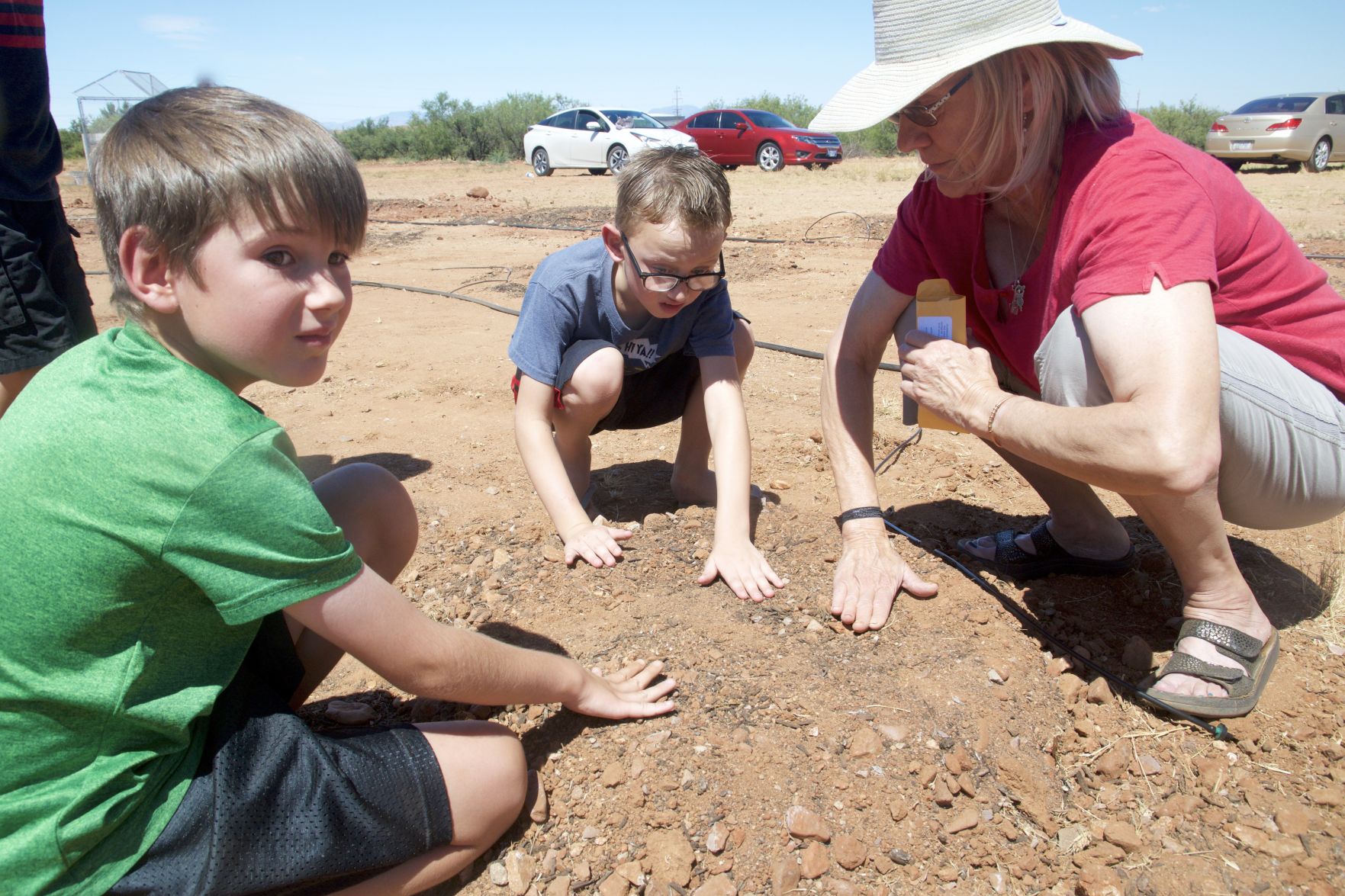 Planting pumpkins